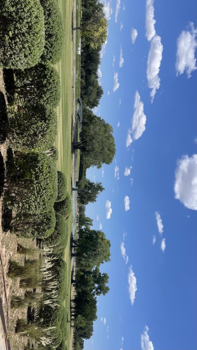 (Photo submitted by SFE87JRoq9dR83g4WVsu on 08/18/2025)