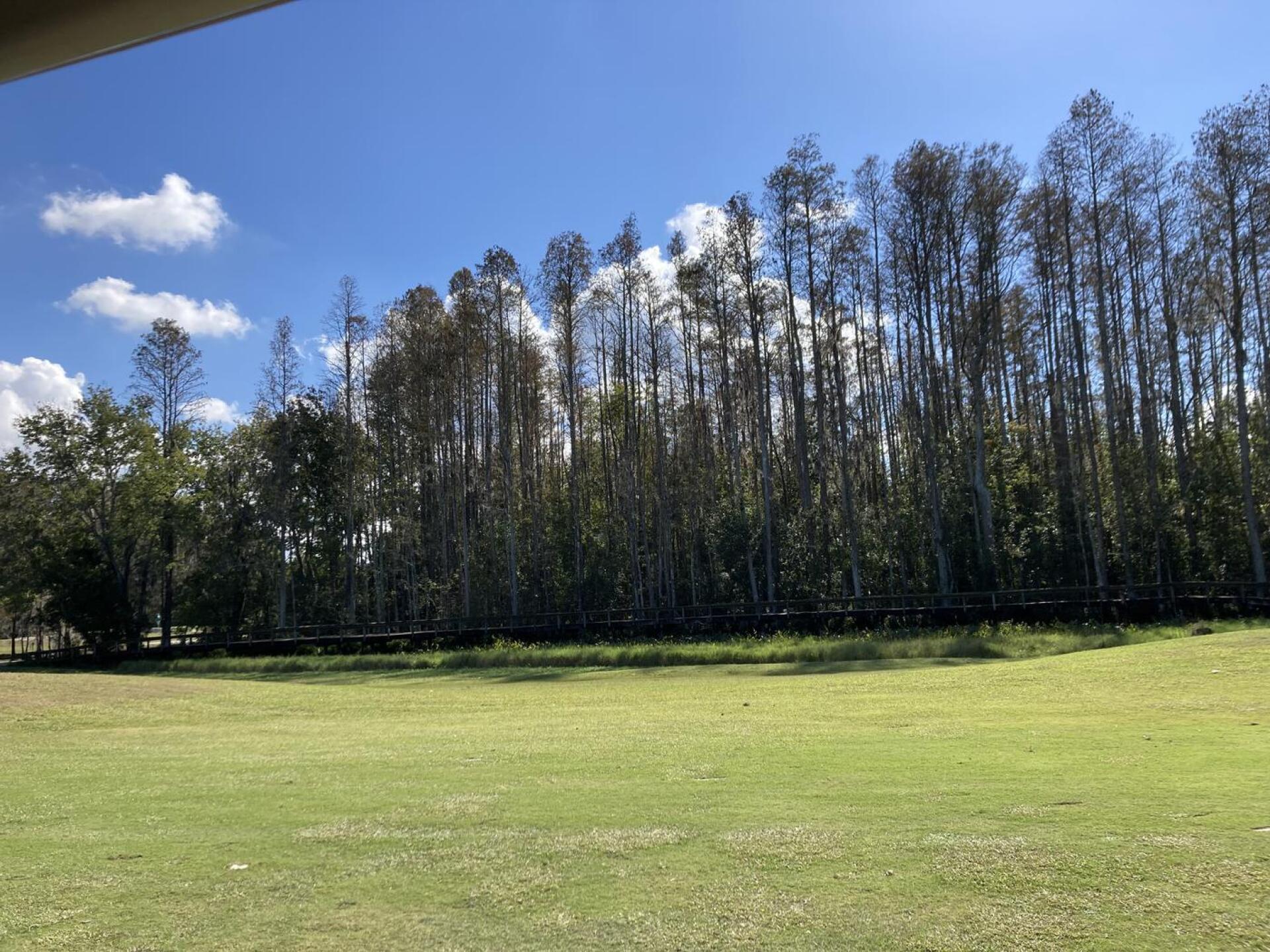 (Photo submitted by u000007359718 on 12/10/2022)