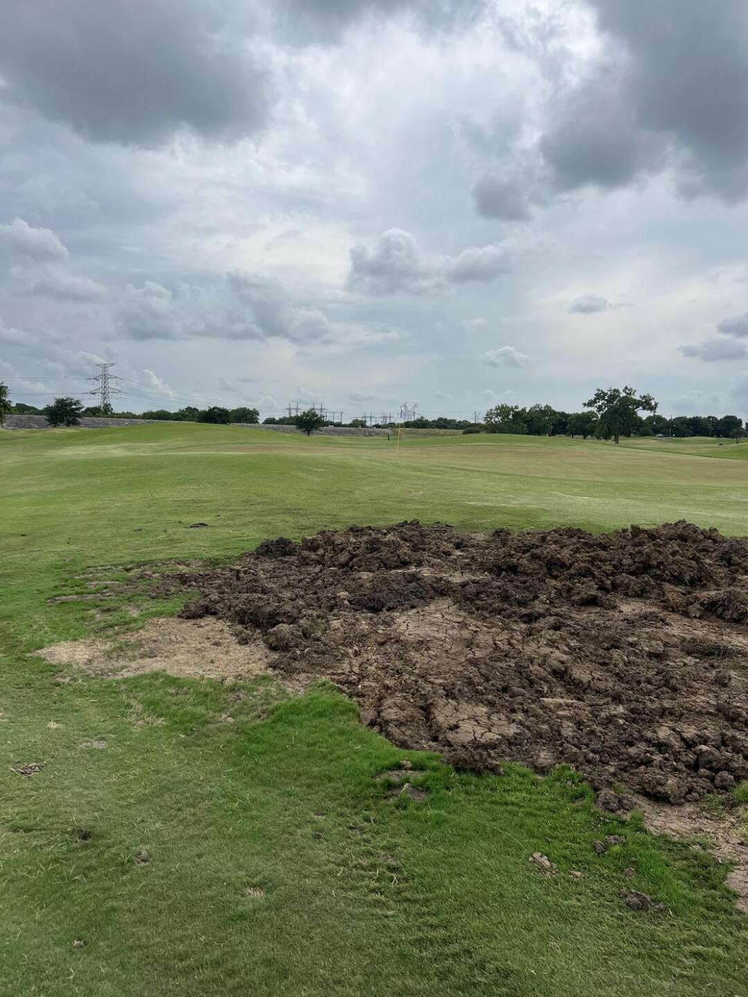 Middle of the fairway (Photo submitted by 91nyJaE9RrUz3ZzKyN1l on 06/07/2026)