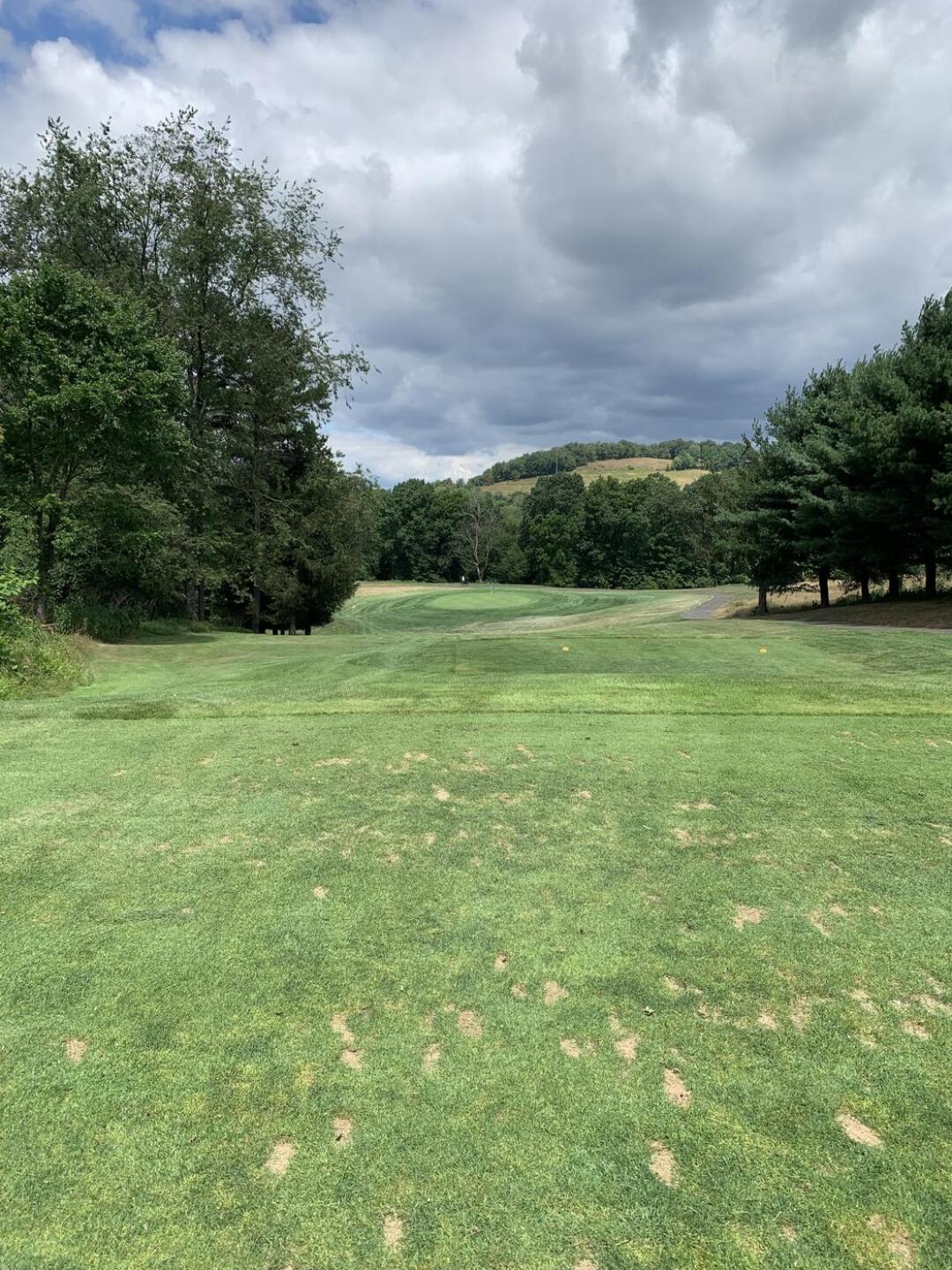 (Photo submitted by Rappy8 on 07/11/2024)