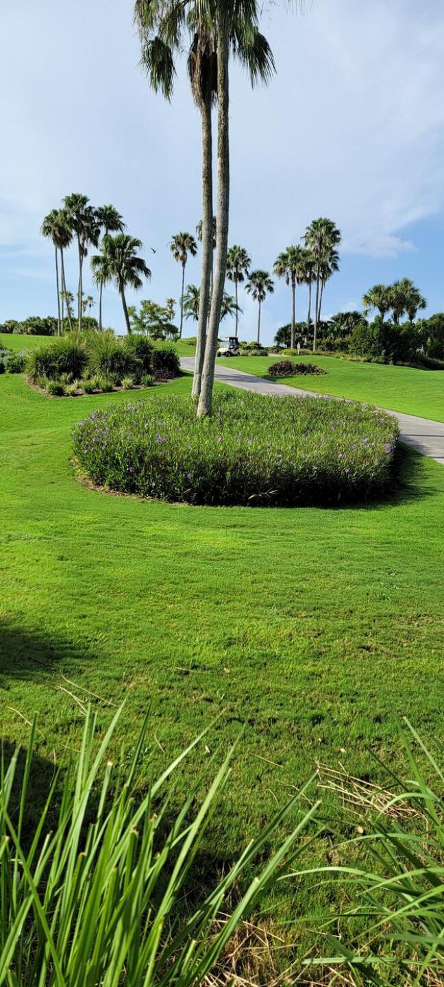 (Photo submitted by conyers12345 on 07/20/2022)