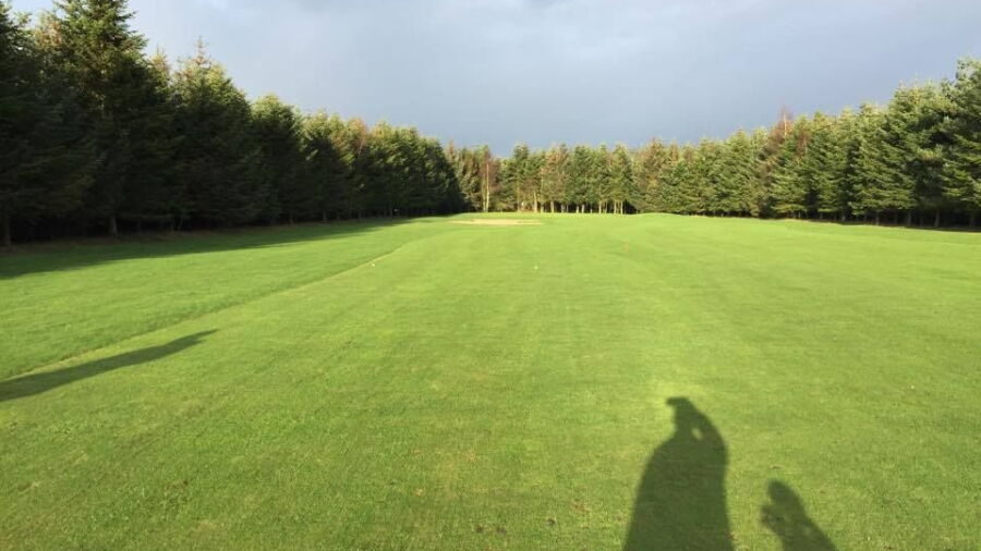 Hals GC