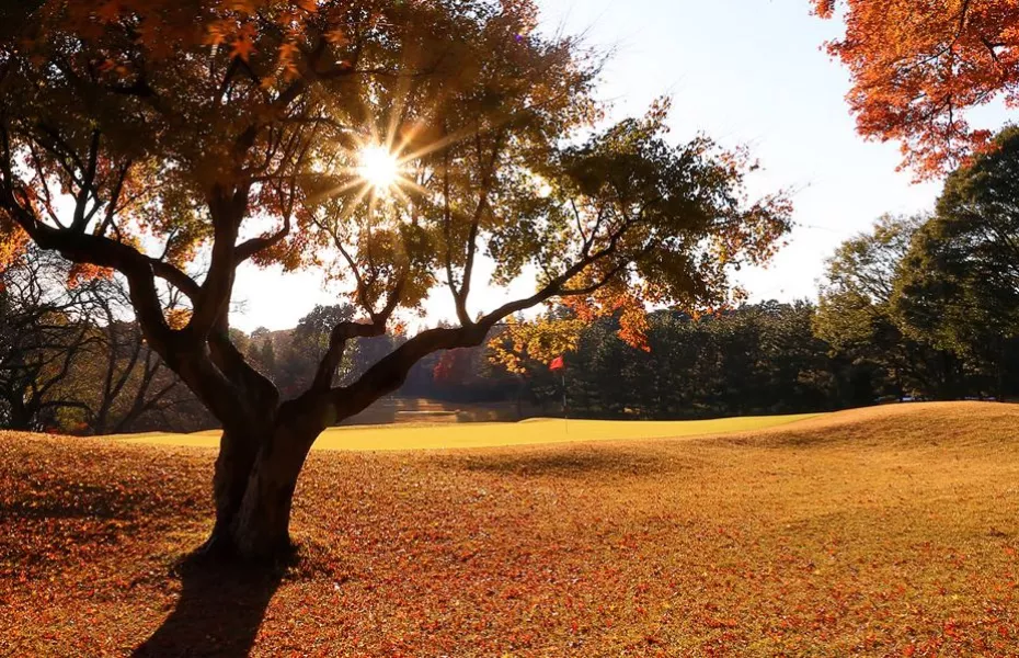 Abiko GC