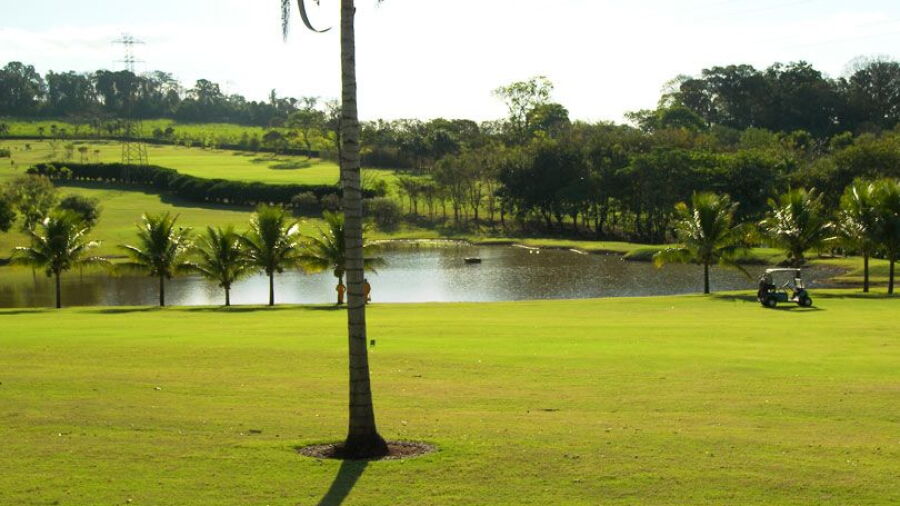 Ipe GC