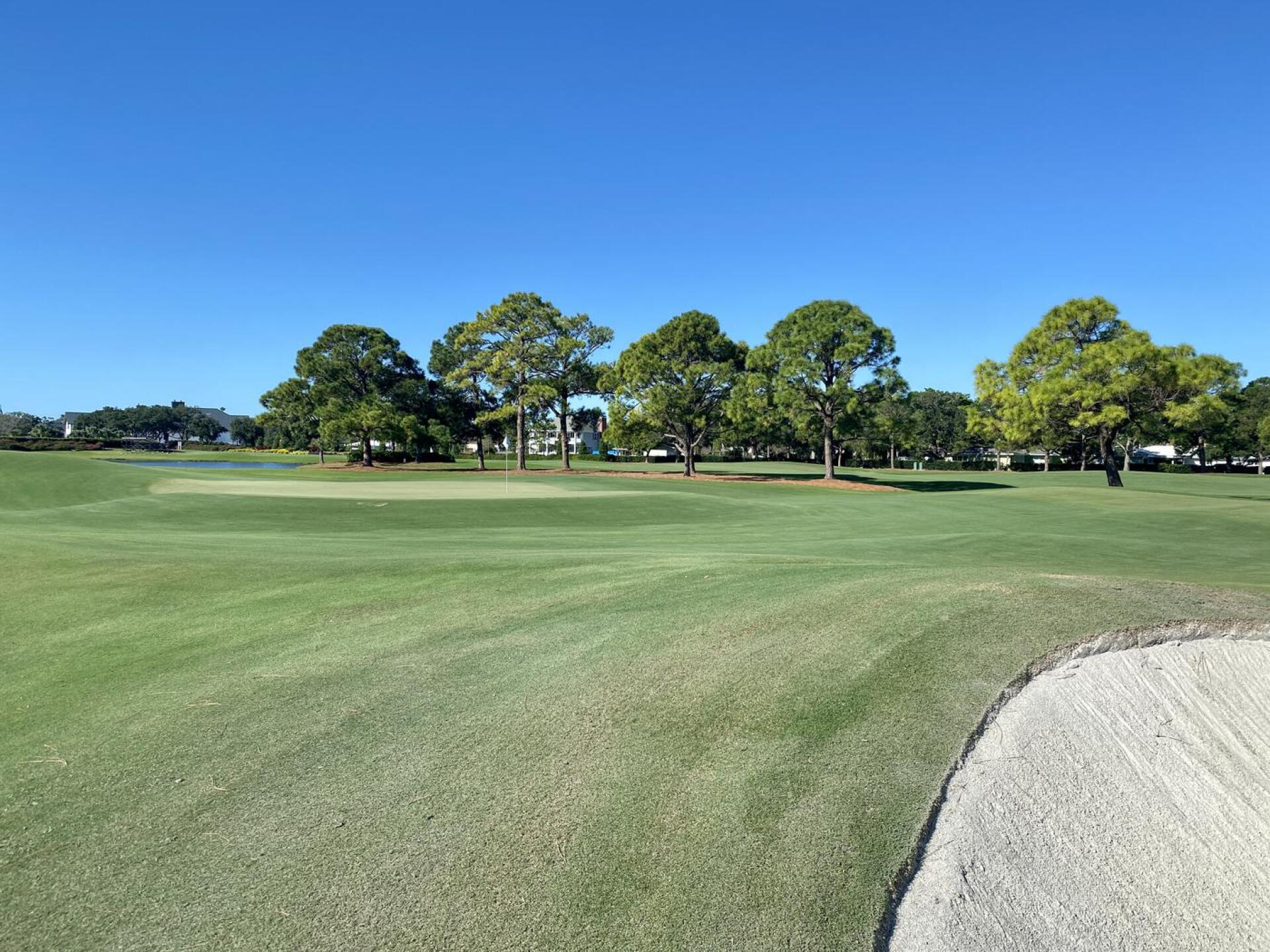 Pelican Golf Club, hole 8 (Photo submitted by TimGavrichGP on 11/05/2021)