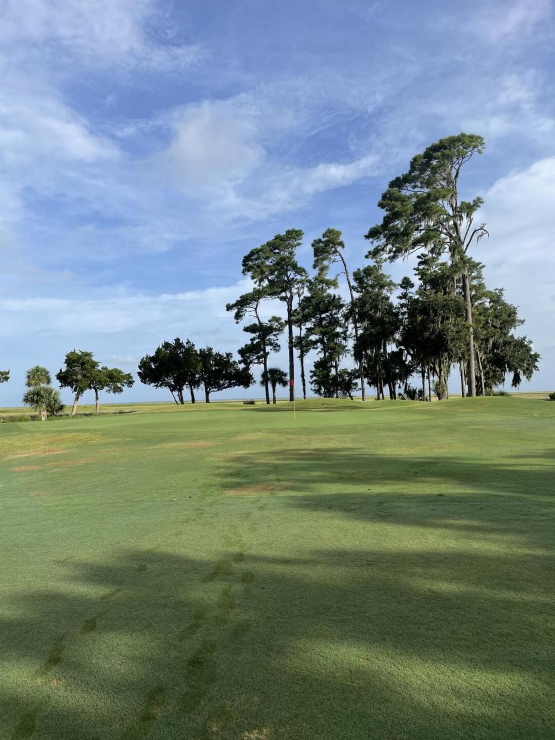 (Photo submitted by bobbyehrlich on 08/16/2021)