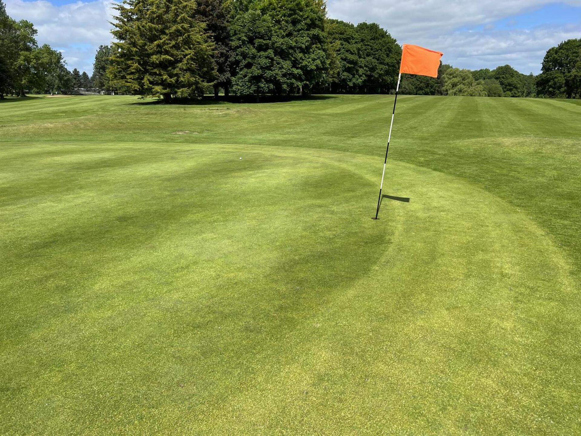 (Photo submitted by Yagoobian on 05/28/2022)