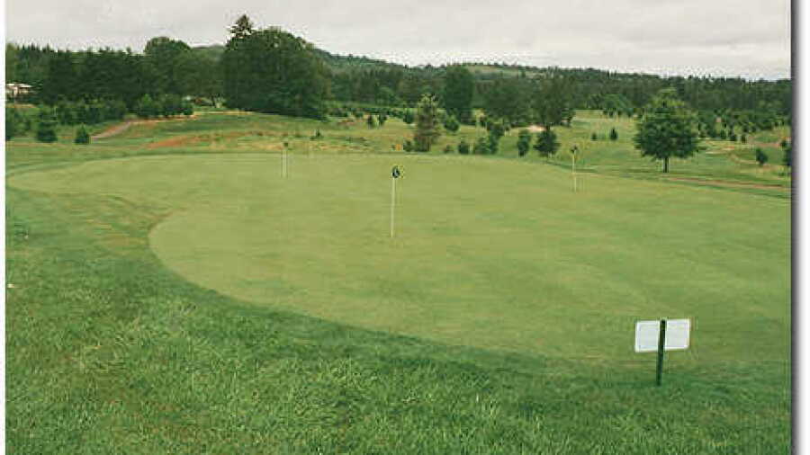 Diamond Woods putting green