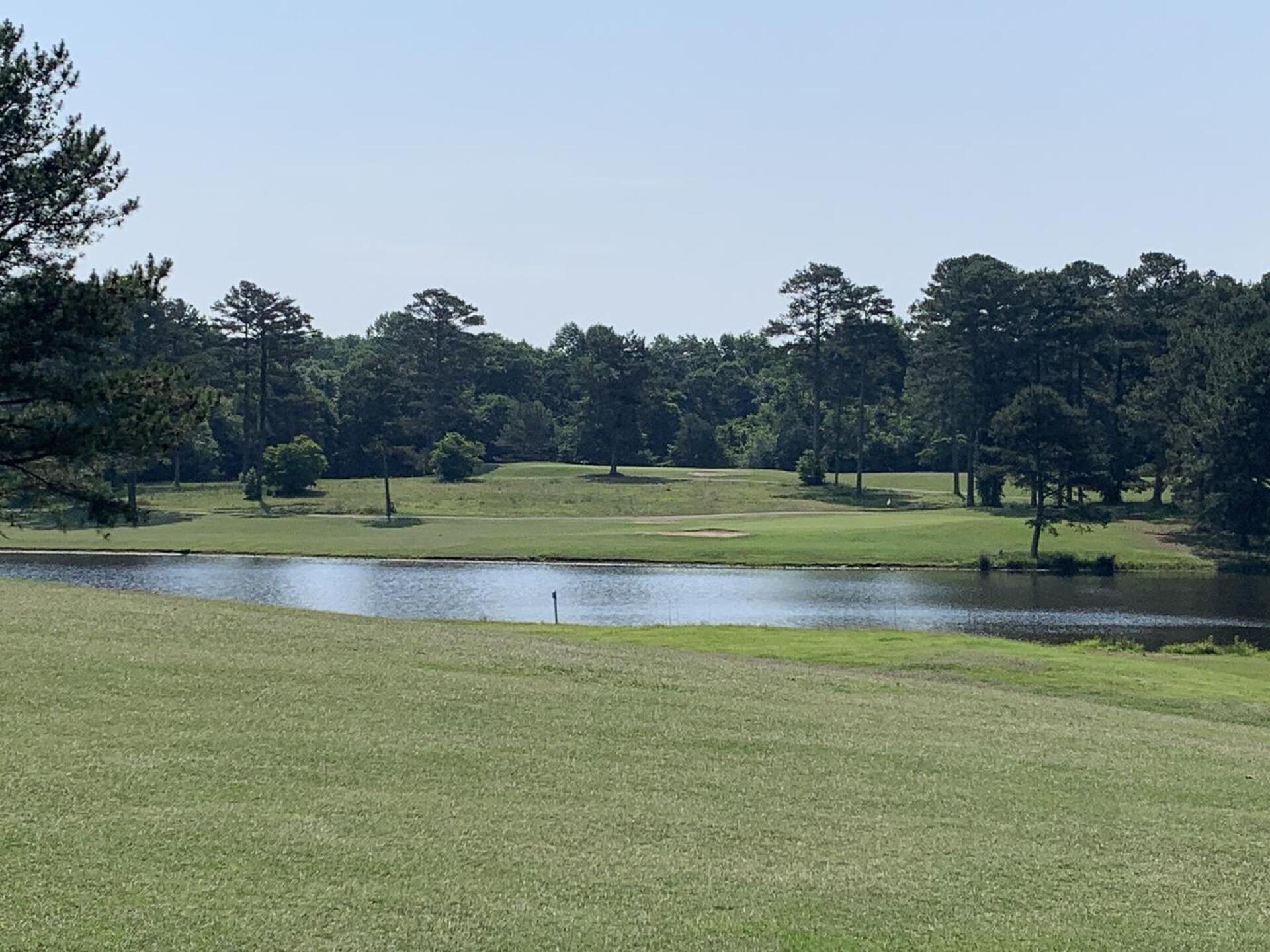 (Photo submitted by u378508844 on 06/09/2023)