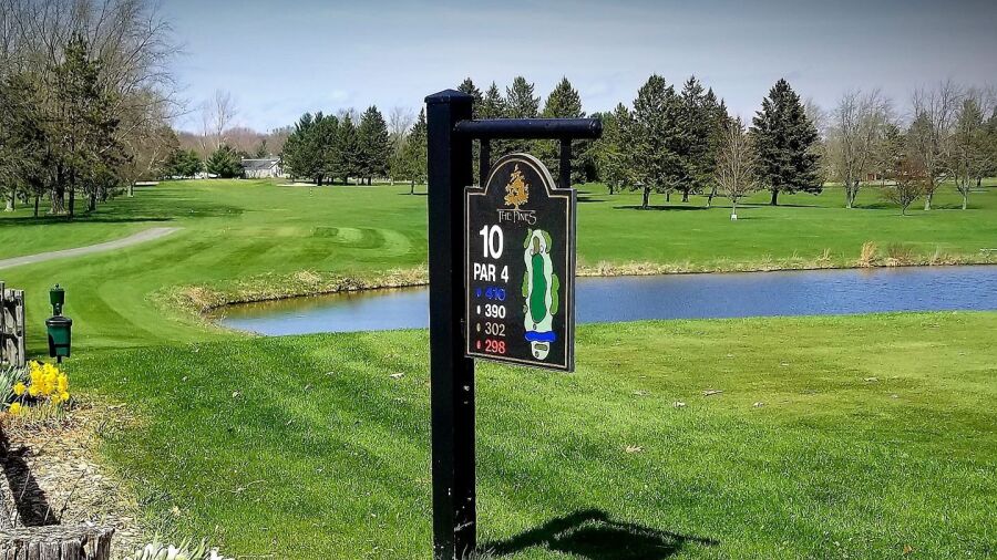 Pines at Lake Isabella