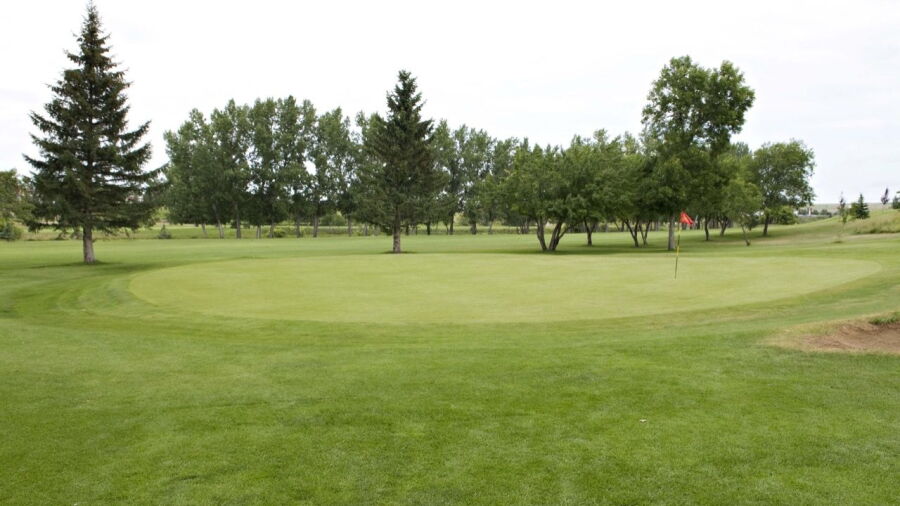 Elmwood GCC