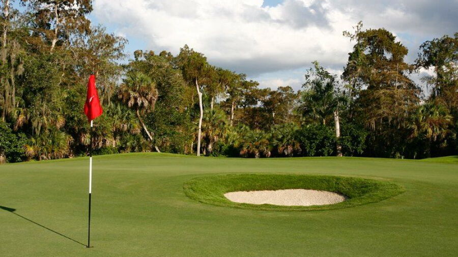 Wilderness CC