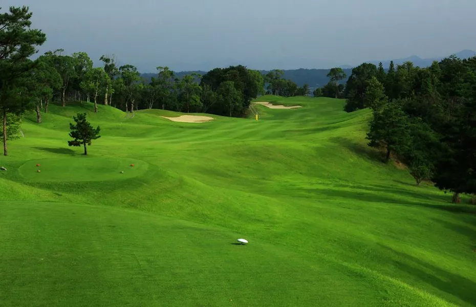 Tojonomori63 CC - Ujo