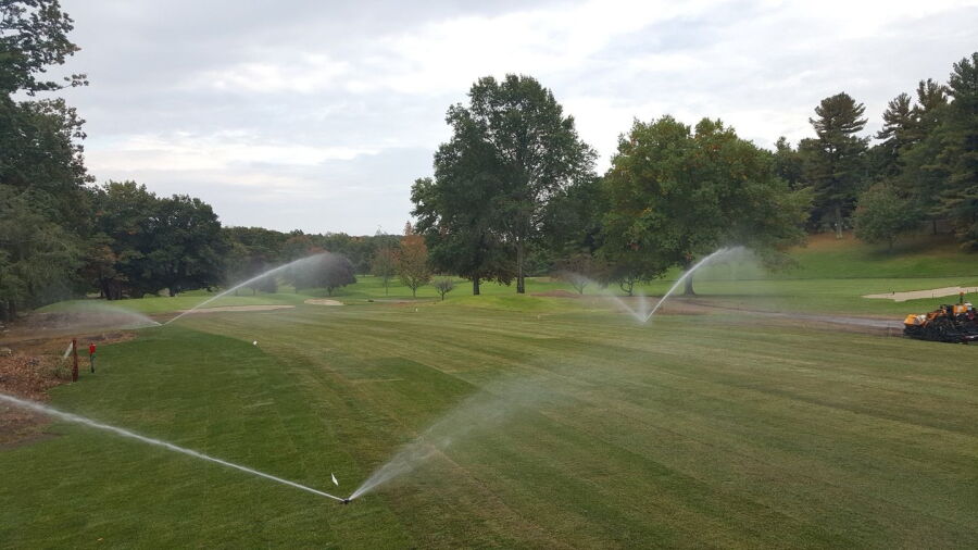 Trull Brook GC: #4