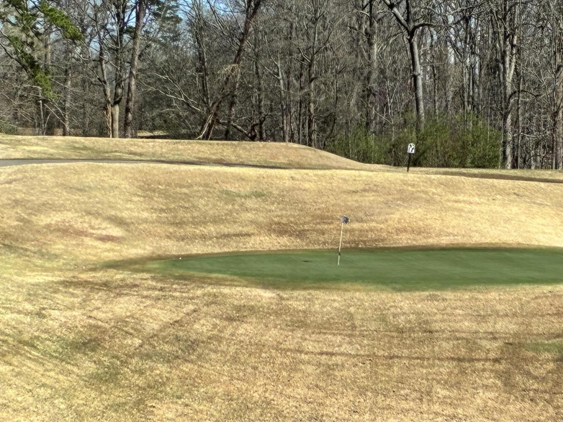 (Photo submitted by cawbvZHI3YWWrL5Q2lLD on 03/13/2026)