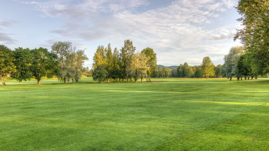 Sundsvalls GC: #5