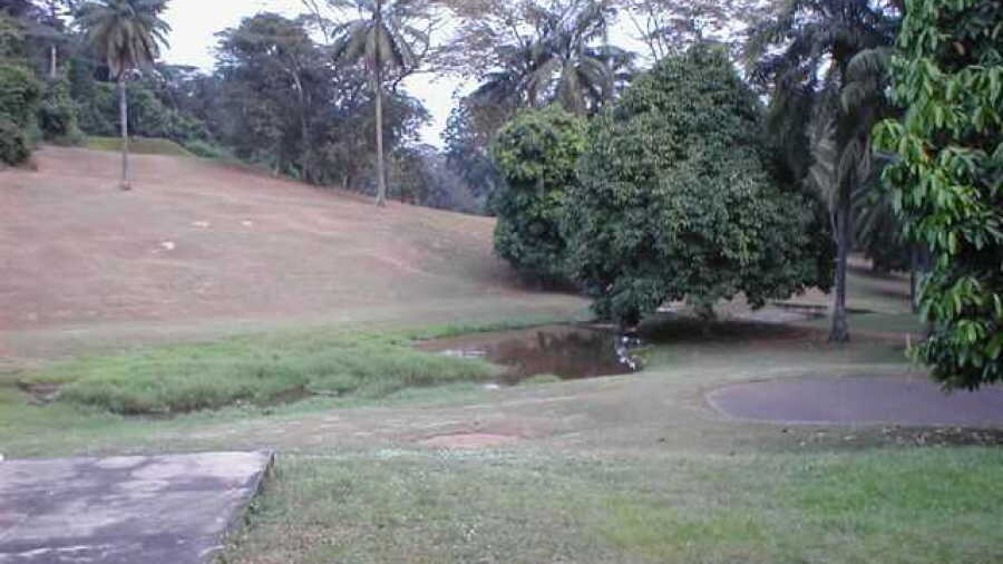 International Institute of Tropical Agriculture GC: #9
