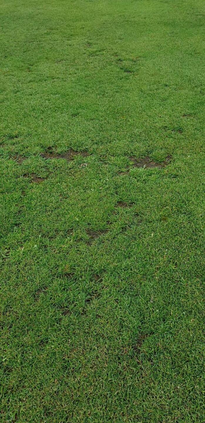 (Photo submitted by u534062207 on 07/25/2020)