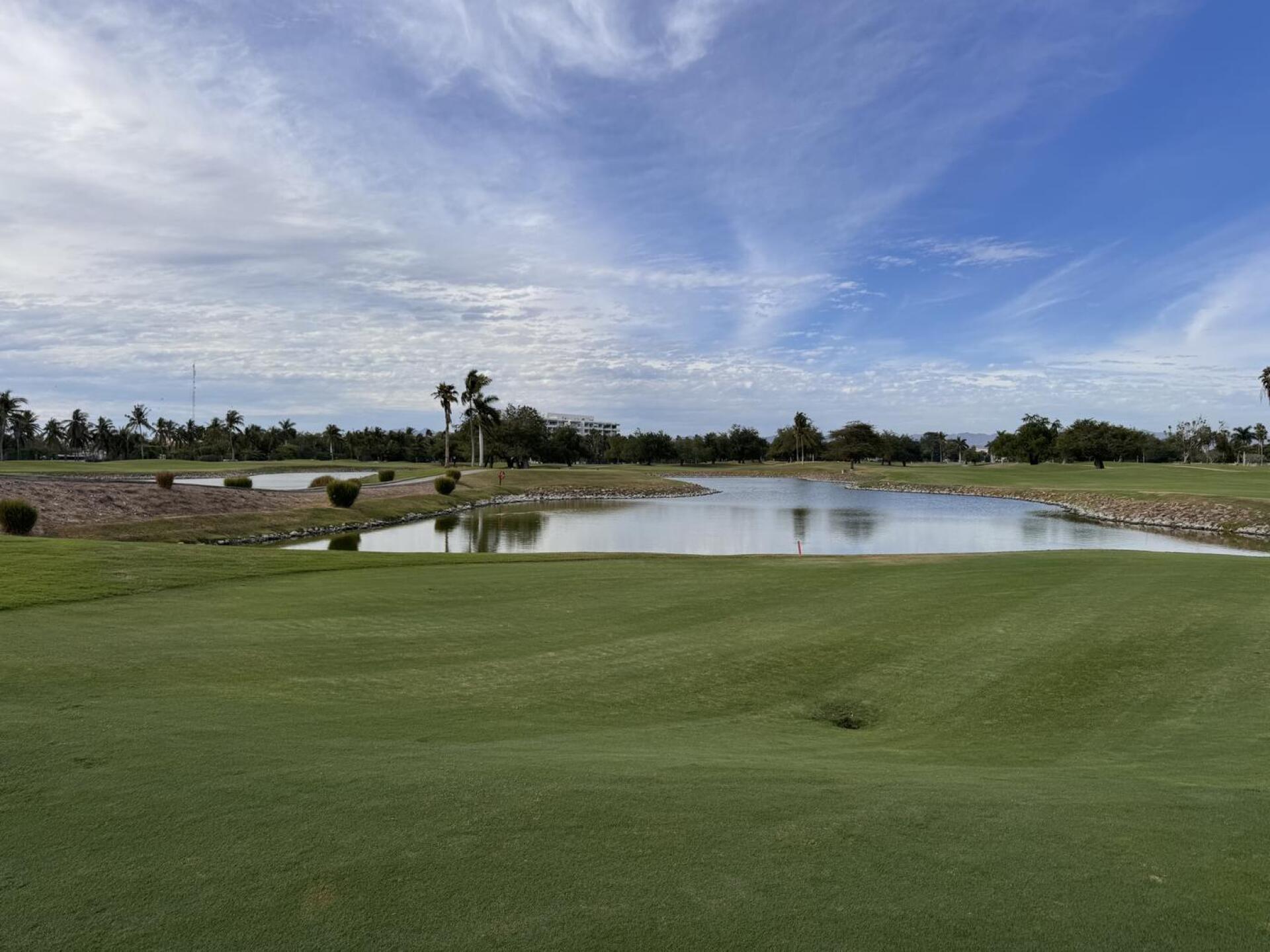 (Photo submitted by N1xP1eAasLjyuqfFaHBq on 02/16/2026)