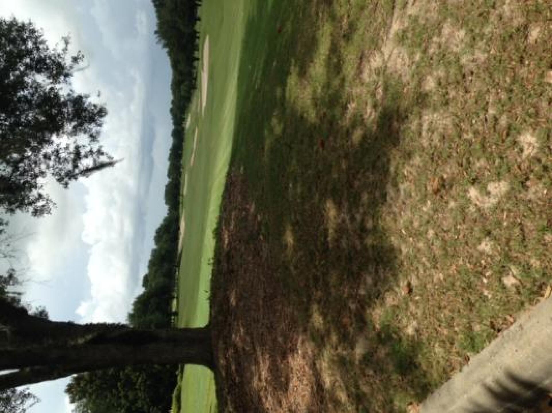 (Photo submitted by jlkelly501 on 06/13/2014)