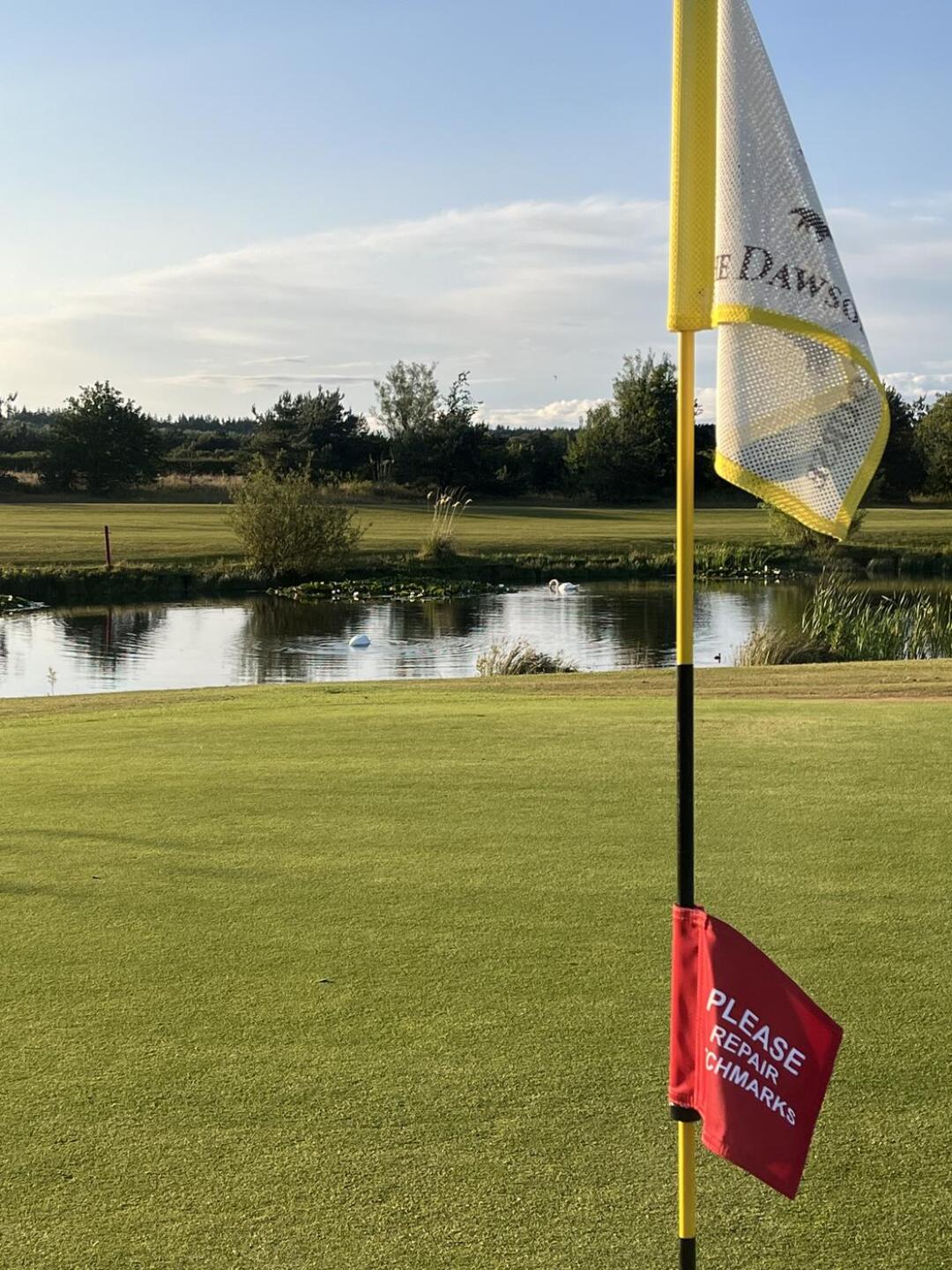 (Photo submitted by u639657880 on 07/04/2025)