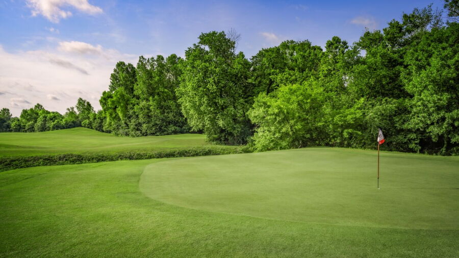 Towhee Club: #12