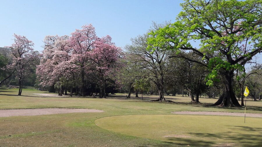 Club de Golf Covadonga