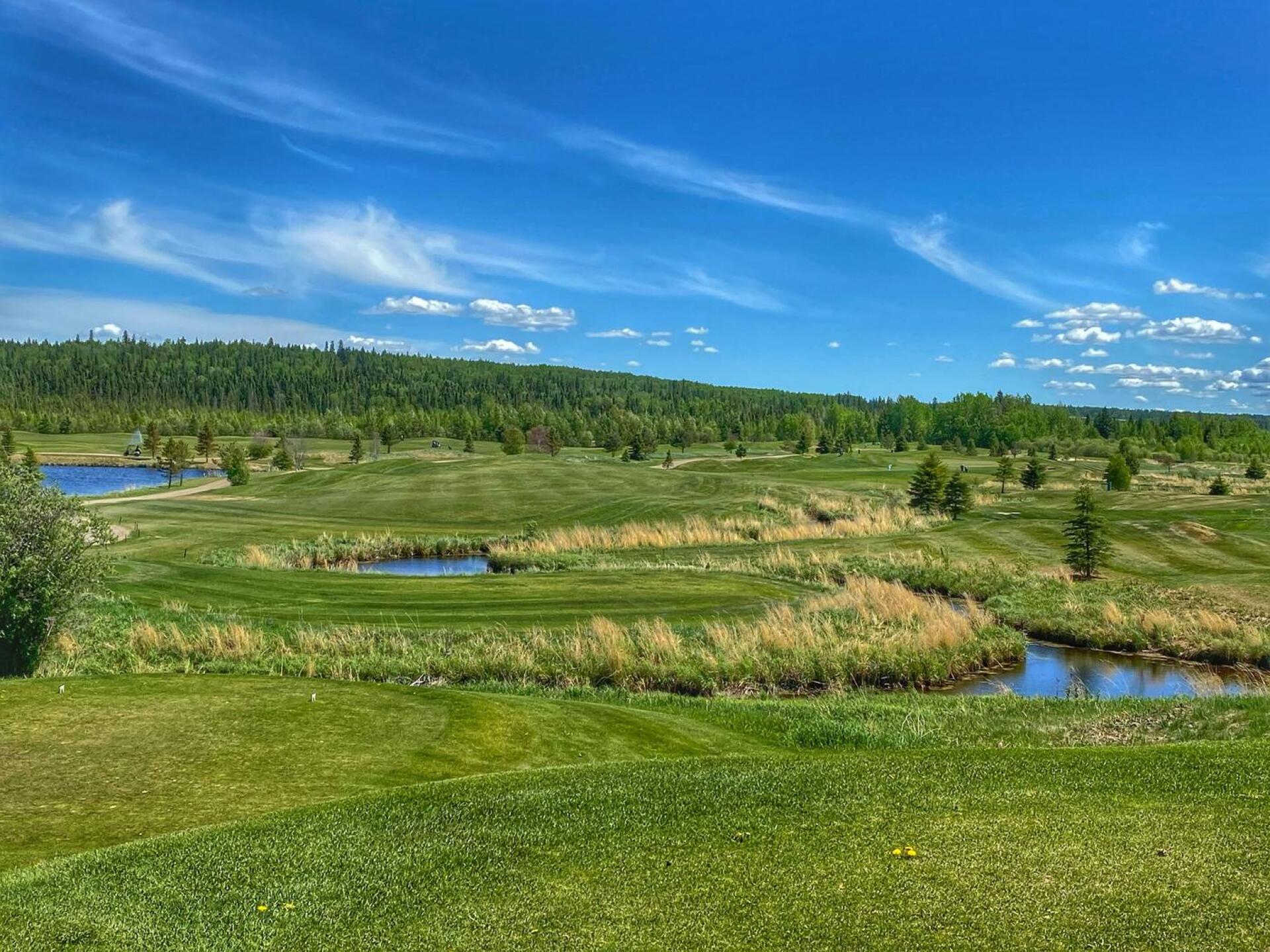 Trestle Creek GR, Jackpine, Hole 2, Par 4, 424 yds (Photo submitted by DYakimec on 06/17/2021)