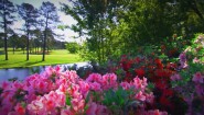 First Memory of Augusta