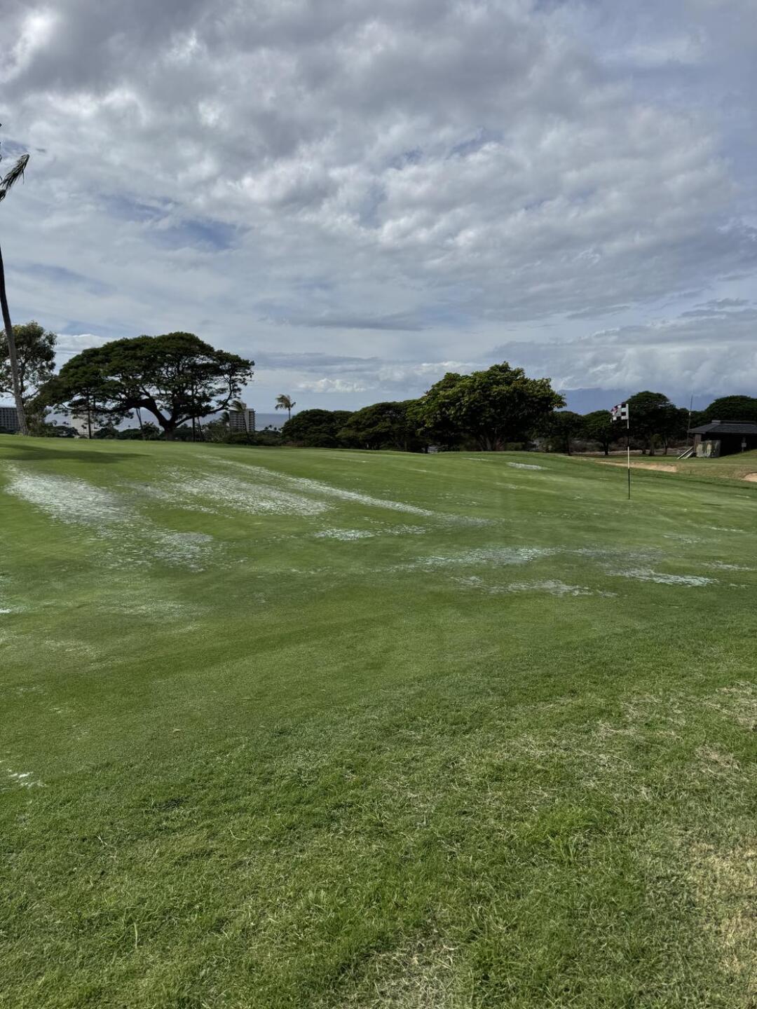 (Photo submitted by u314159500296 on 11/06/2025)