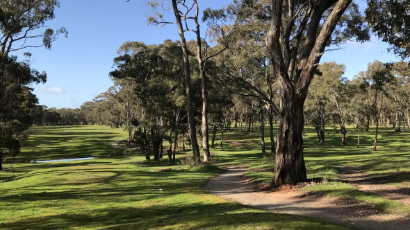 Clunes GC