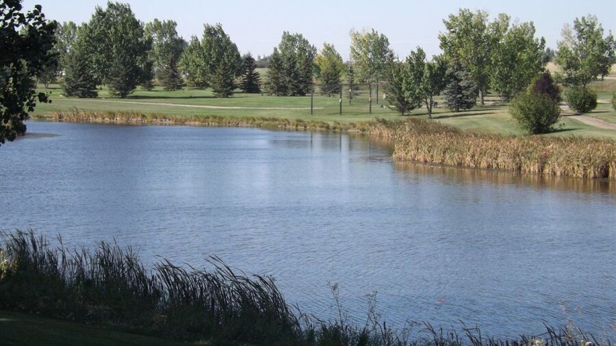 Acme GC: #1