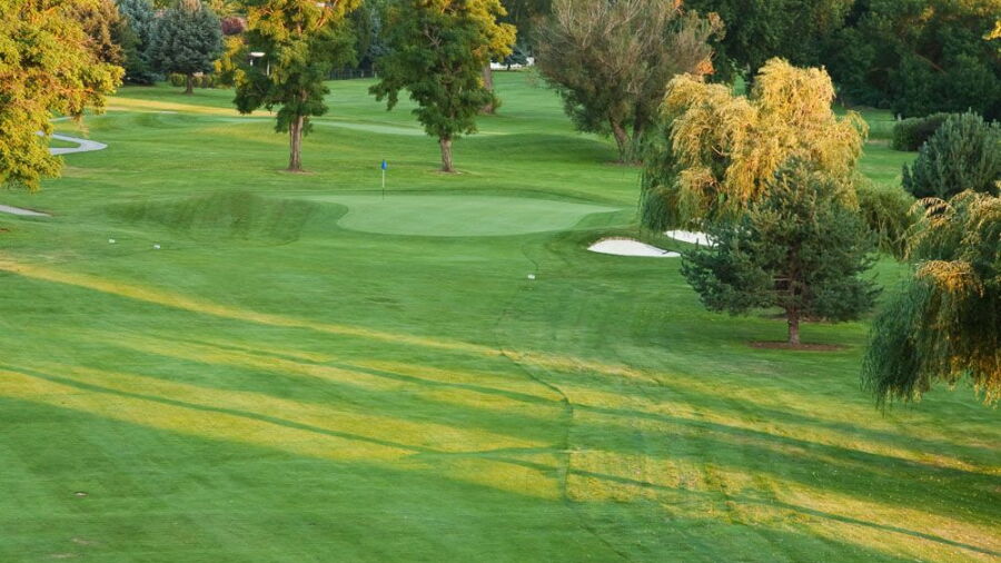 Plantation GC: #6