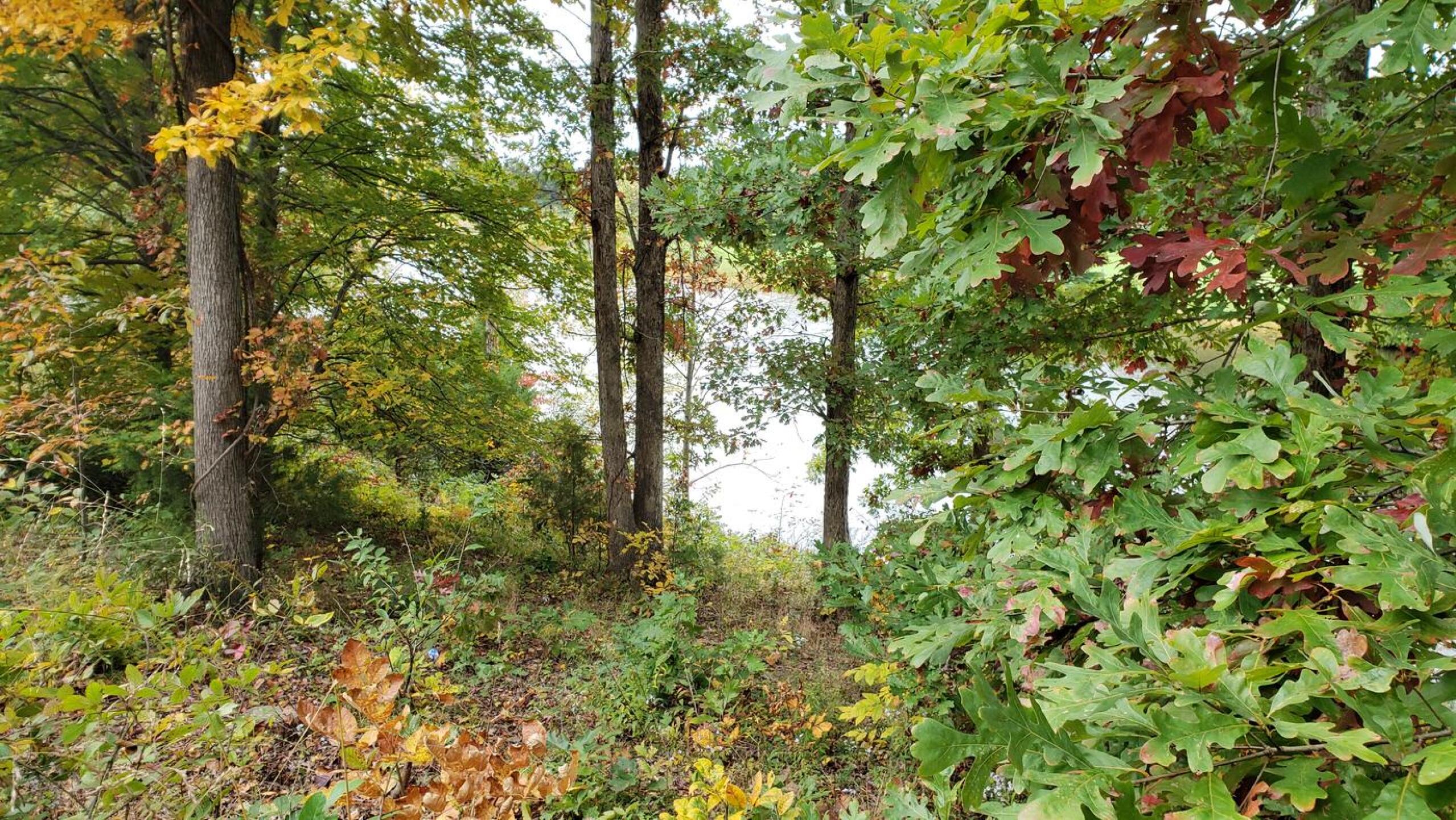 (Photo submitted by jaehana1 on 10/16/2020)