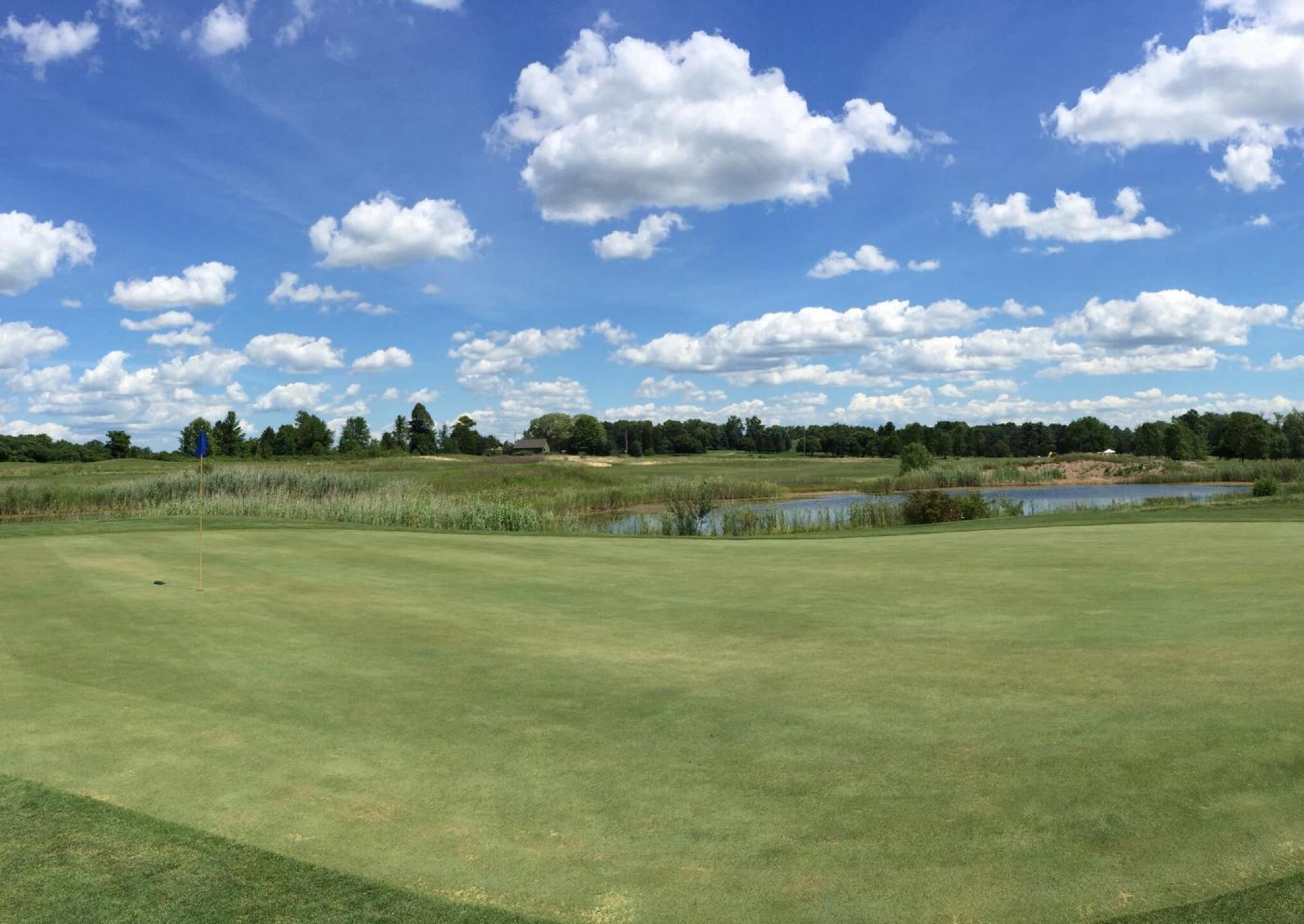 #8 Green (Photo submitted by u000007764827 on 08/03/2015)
