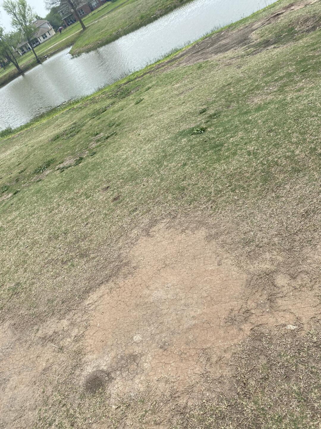 (Photo submitted by u314161715514 on 04/18/2022)