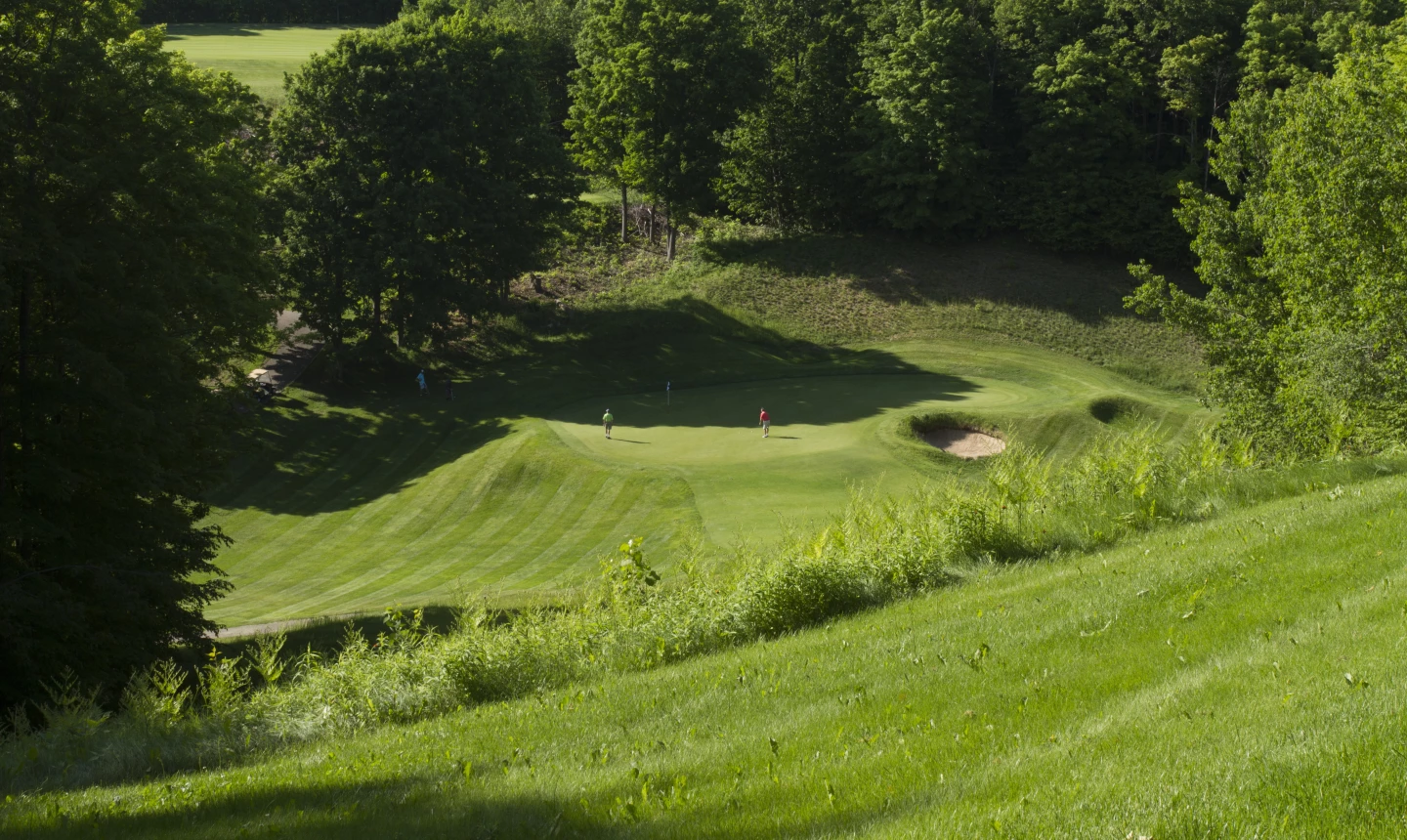 Treetops - Fazio Premier golf course - 8th
