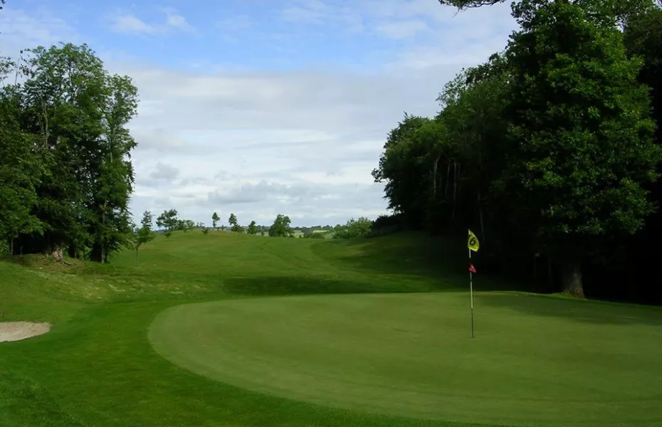 Ardee GC: #16