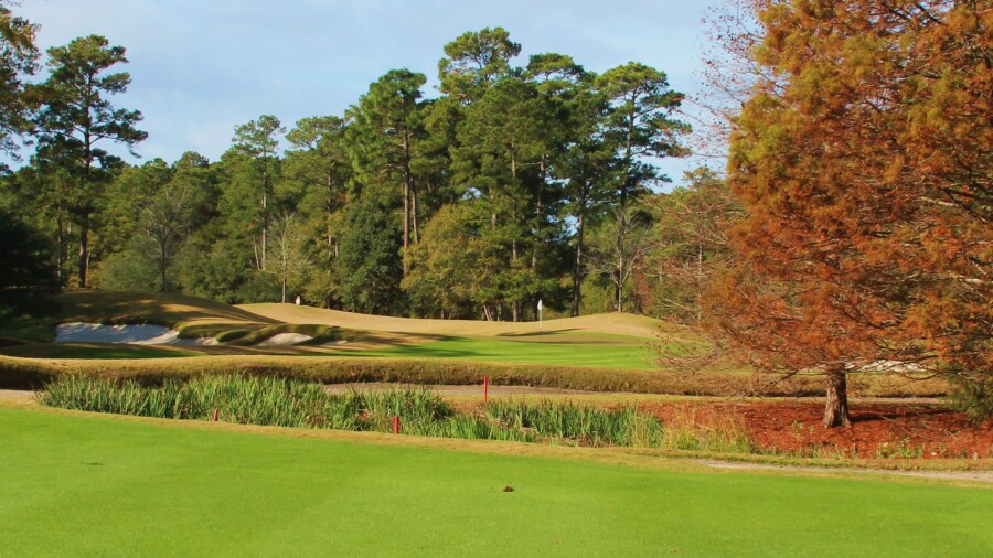 Caledonia Golf & Fish Club - hole 4