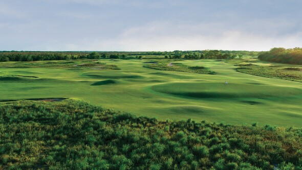 Trinity Forest - no. 15