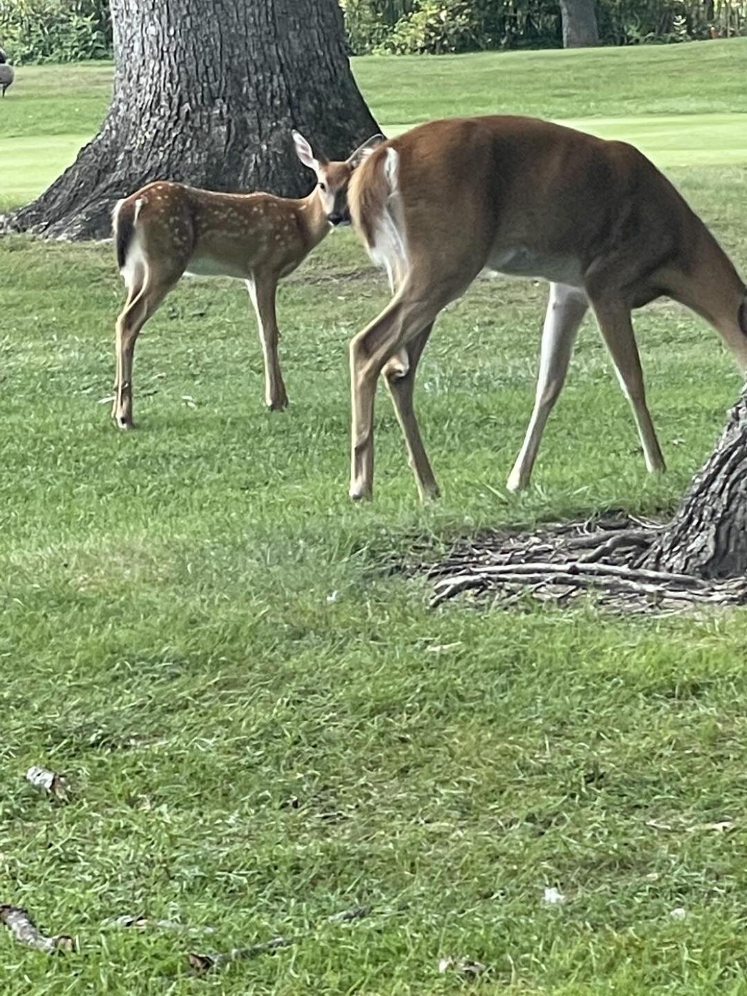 (Photo submitted by Christina9101665 on 08/30/2021)