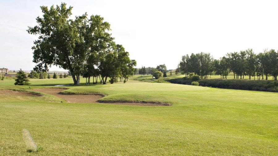 Elmwood GCC