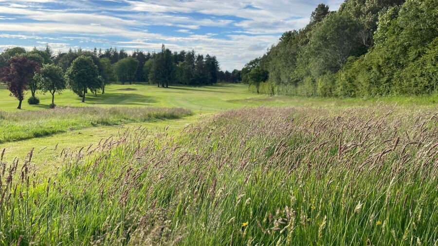 Hamilton GC: #11