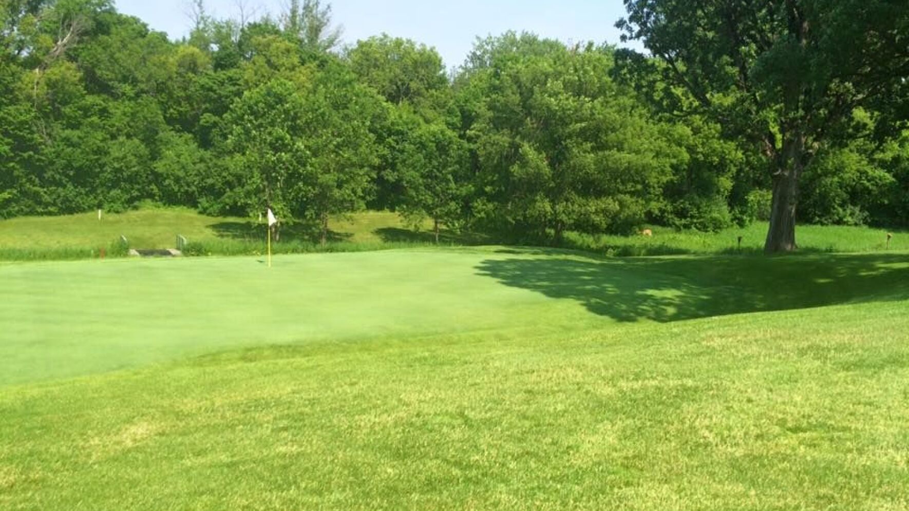 Willmar, Minnesota Golf Guide