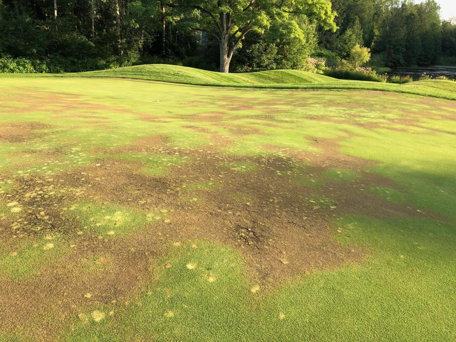 (Photo submitted by vkauf on 08/12/2021)