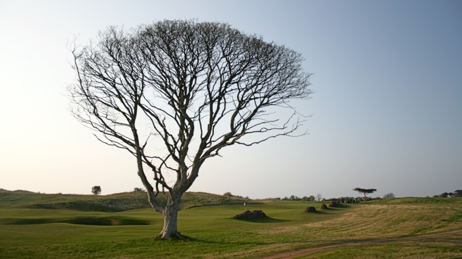 Renaissance Club golf course