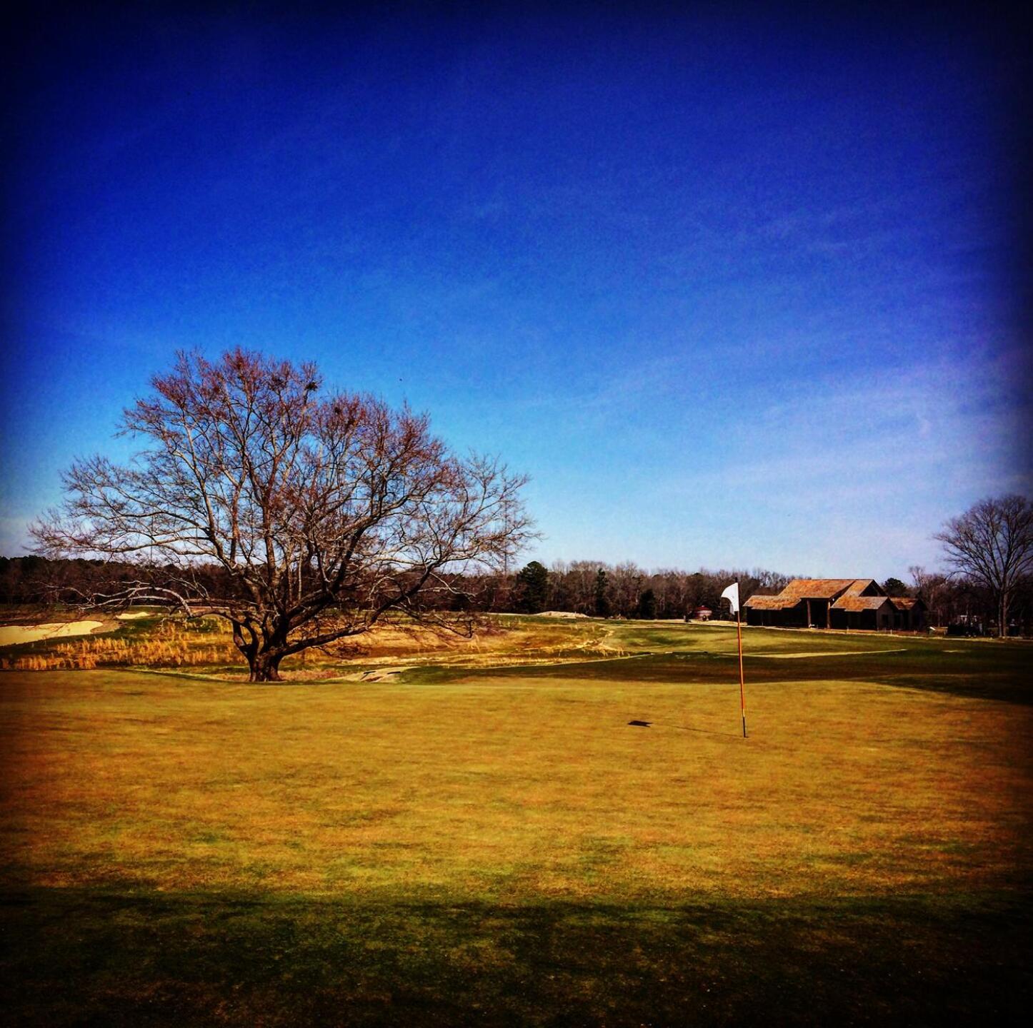 View from behind the 10th green looking ack toward temporary clubhouse (Photo submitted by BrandonWebb on 03/05/2017)