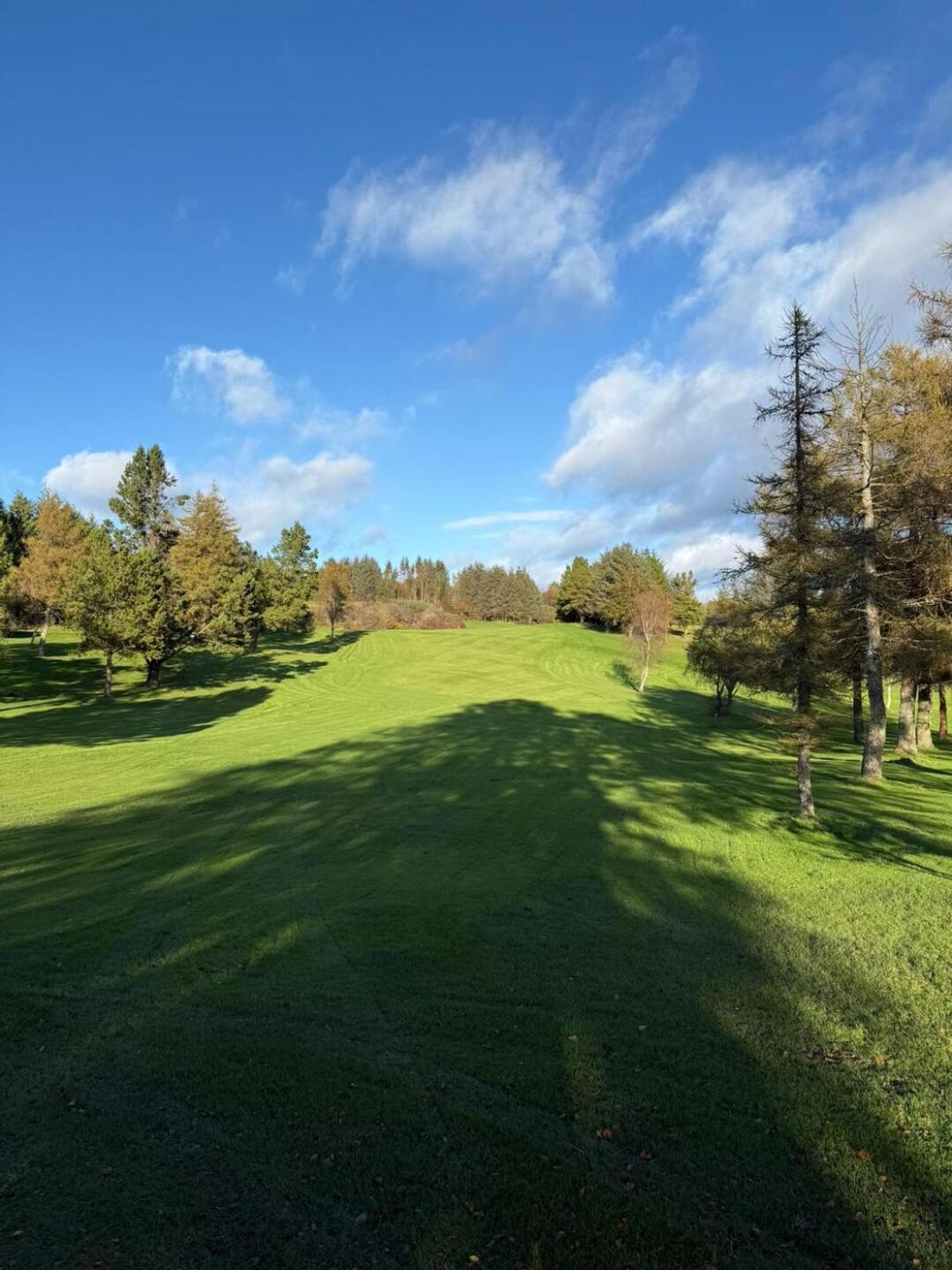 (Photo submitted by RFGqa7GMr9u8wXHutHkK on 11/05/2025)