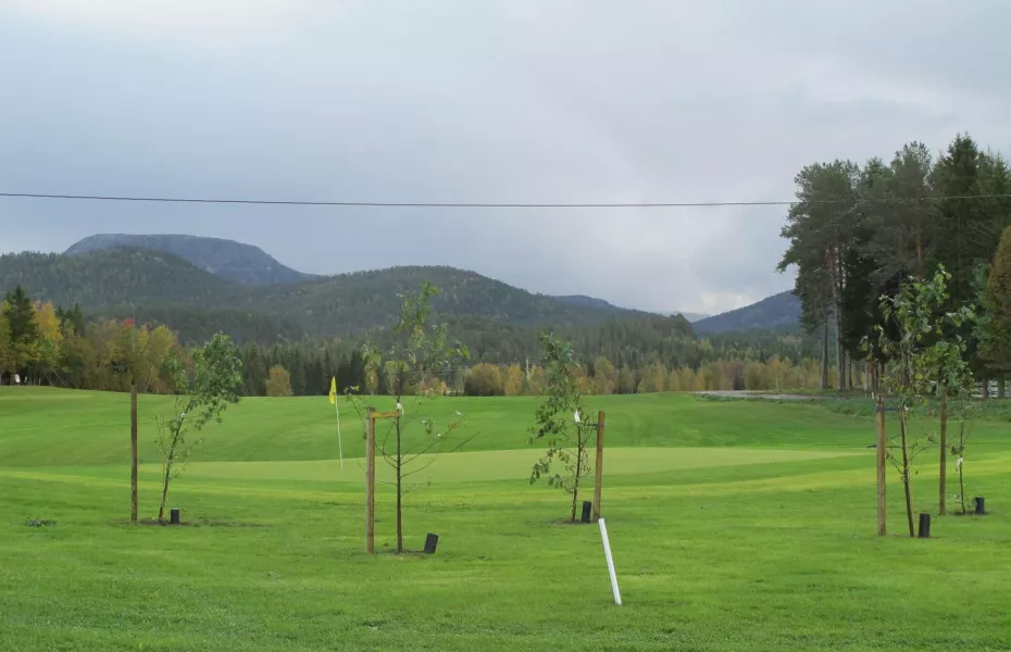 Namsos GC: #9