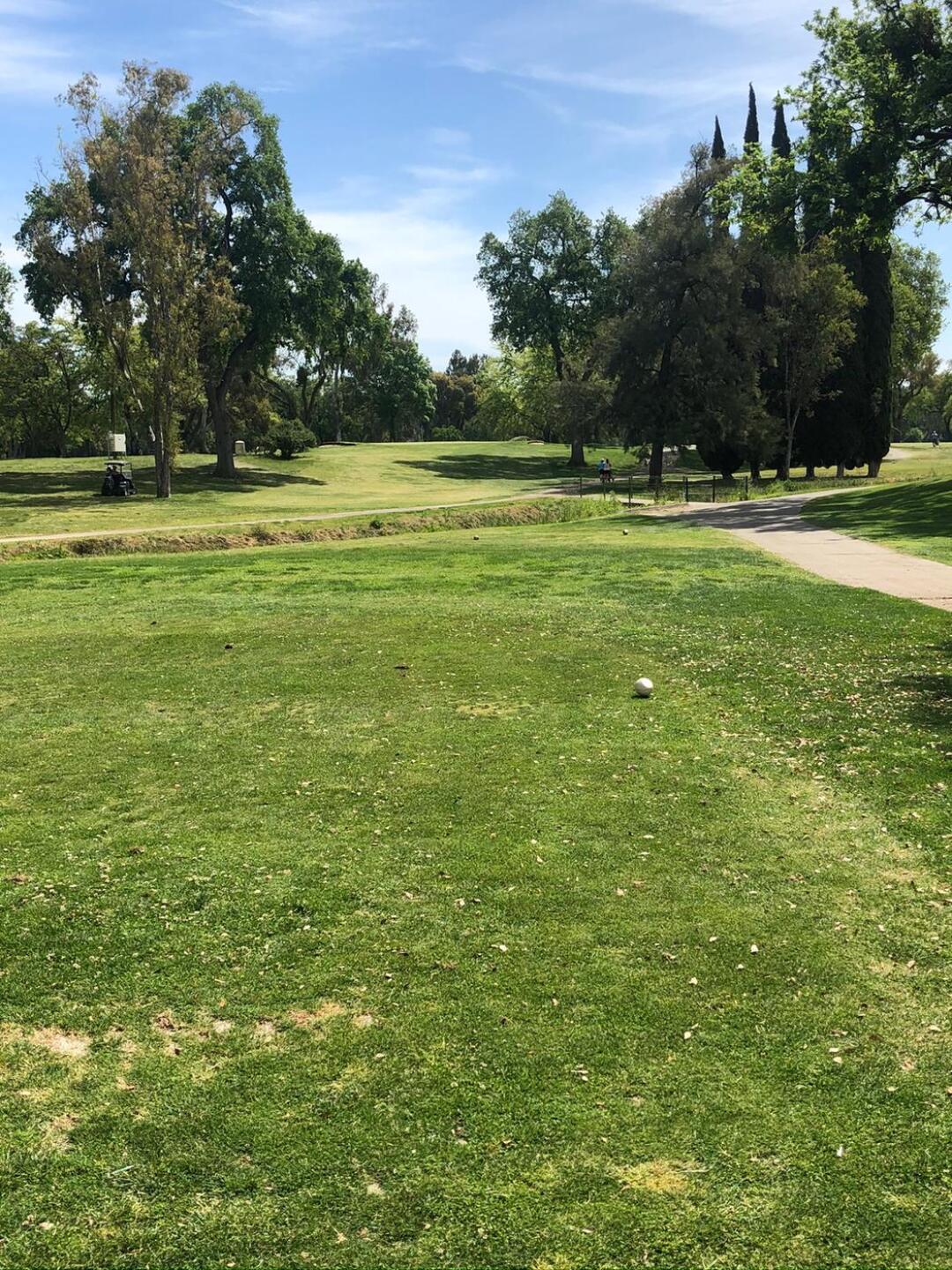 #3 (Photo submitted by slacey54 on 04/23/2020)